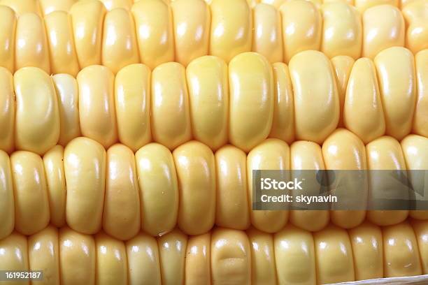 Espiga De Milho - Fotografias de stock e mais imagens de Agricultor - Agricultor, Agricultura, Amarelo