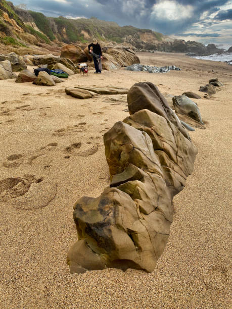 Bean Hollow State Beach, California Bean Hollow State Beach, California - image bean hollow beach stock pictures, royalty-free photos & images