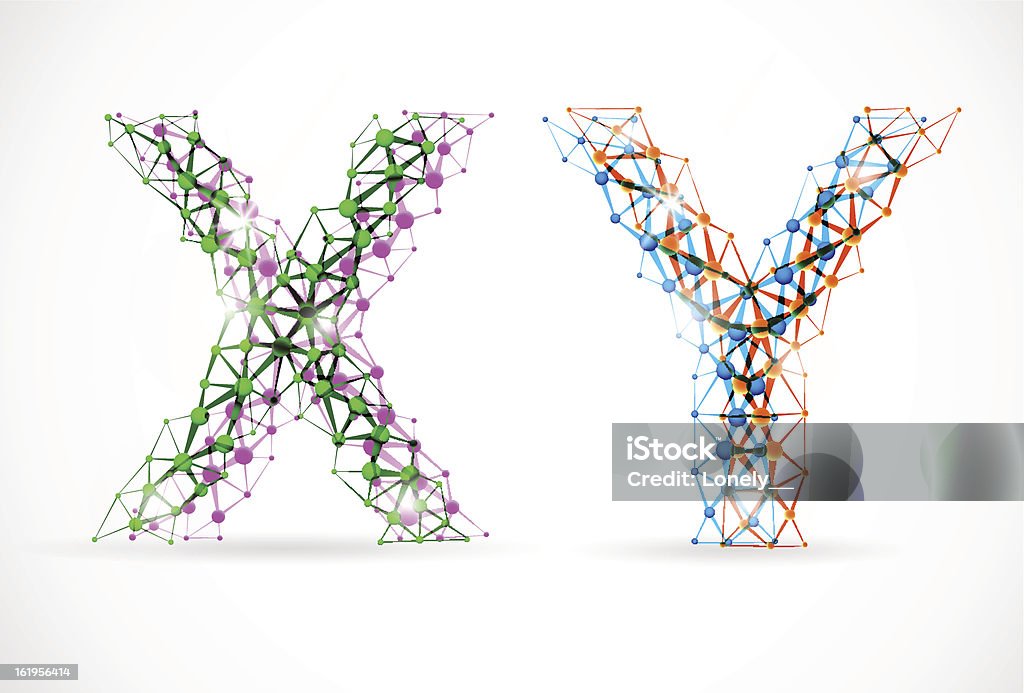 X und Y chromosomes - Lizenzfrei Buchstabe X Vektorgrafik