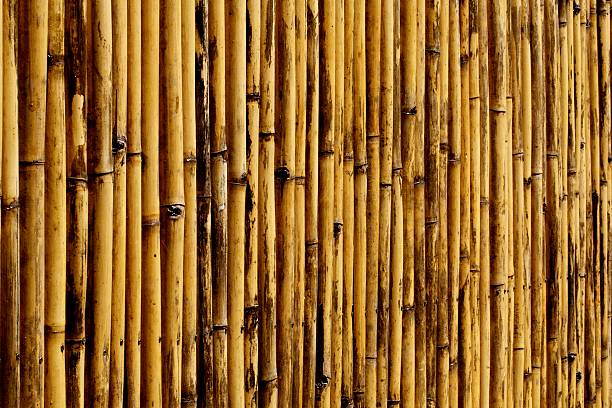 Bamboo wall stock photo