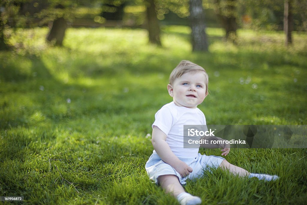 Piękne dziecko chłopiec na zielonej trawie latem - Zbiór zdjęć royalty-free (Blond włosy)