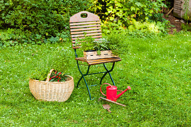 basket with herbs in a garden