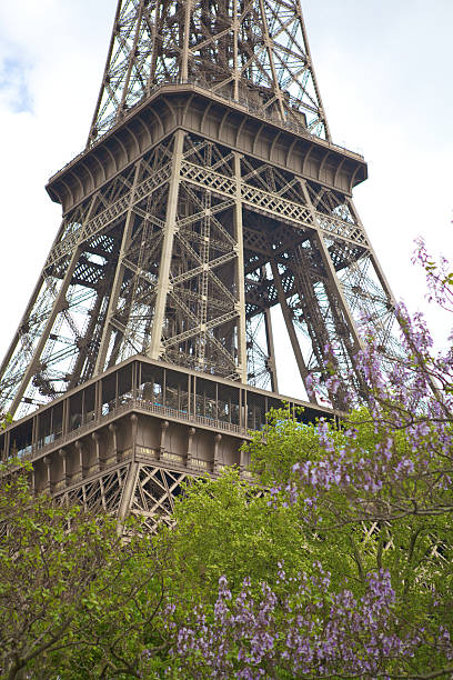 Eiffel Tower Covered by trees in Paris, France stock photo