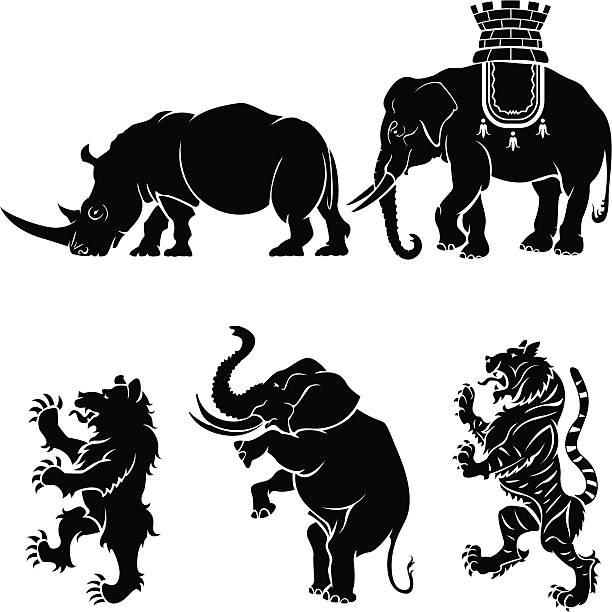 big ssak heraldry zestaw - tiger zoo animal awe stock illustrations