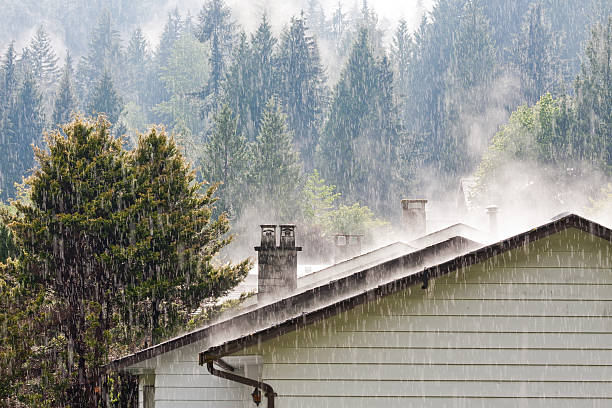 Raining on the roof rain steaming away, falling on warm rooftops and cone trees with mild sunlight shower stock pictures, royalty-free photos & images