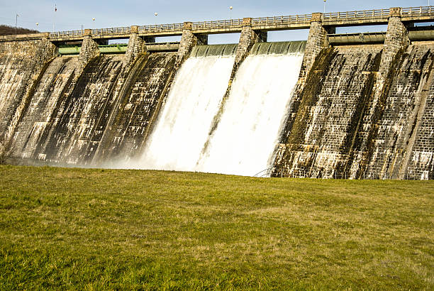 istock Swamp full of water 161961383