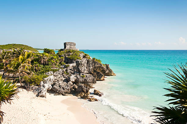 トゥルムの遺跡 - yucatan travel tropical climate mexico ストックフォトと画像