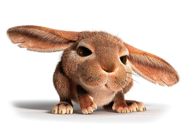 Little Rabbit Stock Photo - Download Image Now - Animal, Rabbit - Animal, Three Dimensional - iStock Little Rabbit Stock Photo - Download Image Now - Animal, Rabbit - Animal, Three Dimensional - iStock