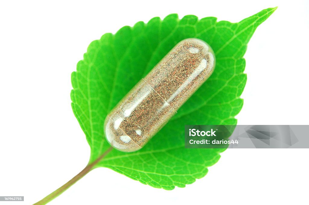 Kräuter-Kapsel an melissa leaf - Lizenzfrei Abnehmen Stock-Foto