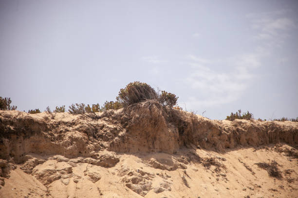 istock Dunes of Melides Lagoon 1619634940