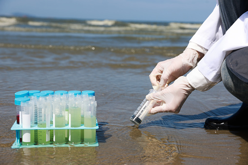 Female Scientist collect seawater samples for examing the qualification.
