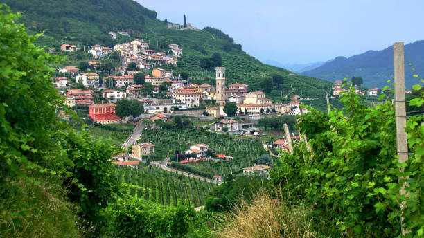 Hillside village and vineyards of Valdobbiadene, Italy - Prosecco region (portrait) stock photo