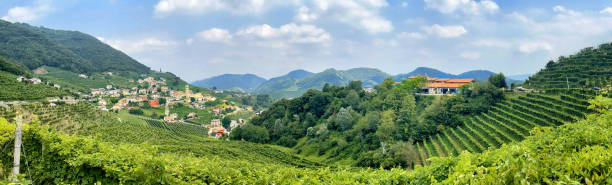 Panorama: Hillside village and vineyards of Valdobbiadene, Italy - Prosecco region stock photo