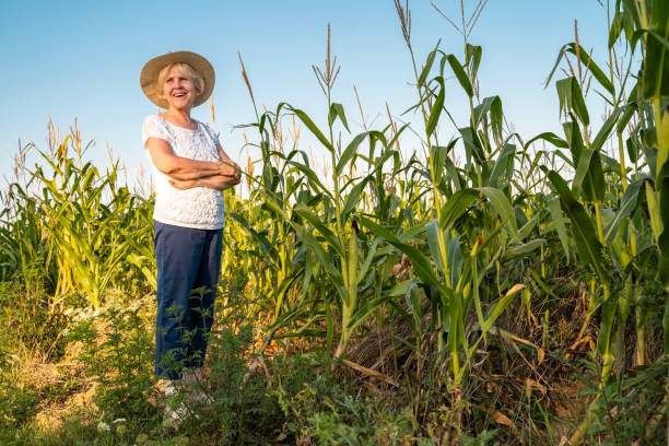 Free Stock Photo of Woman in Hat Standing in Corn Field | Download Free ...
