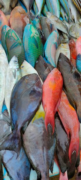 istock Kota kinabalu wet market 1619749929