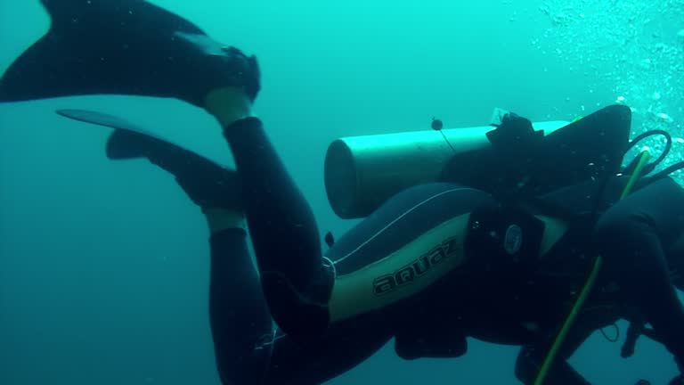 Diver with underwater video camera on coral reef of Pacific Ocean.