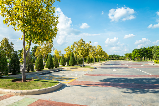 Empty space in city park outdoor concrete parking lot area with blue sky in summer season. Green nature gardening in car parking lot. Friendly environmental and transportation concept.