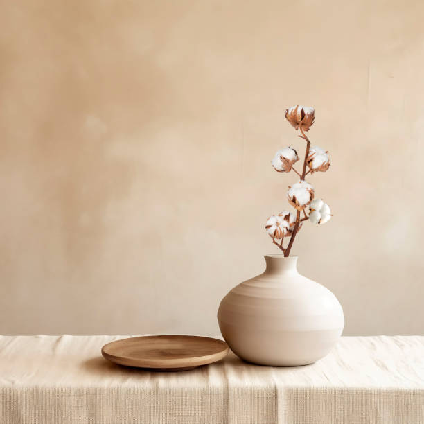 beige ceramic vases with dry cotton branches. scandinavian interior. - construction platform wood nature contemporary imagens e fotografias de stock