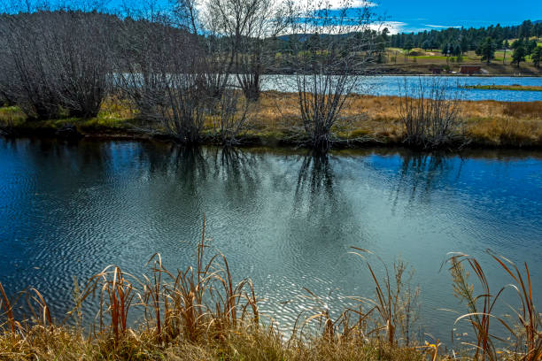 istock Reflection of trees in the lake. 1619825350