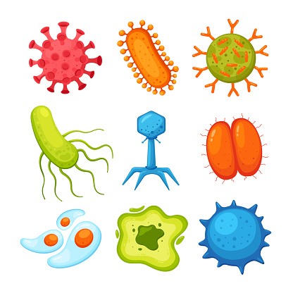 Different viruses and bacteria vector illustrations set. Collection of cartoon drawings of virus particles, germs, microorganisms, bacilli. Healthcare, medicine, coronavirus, biology concept