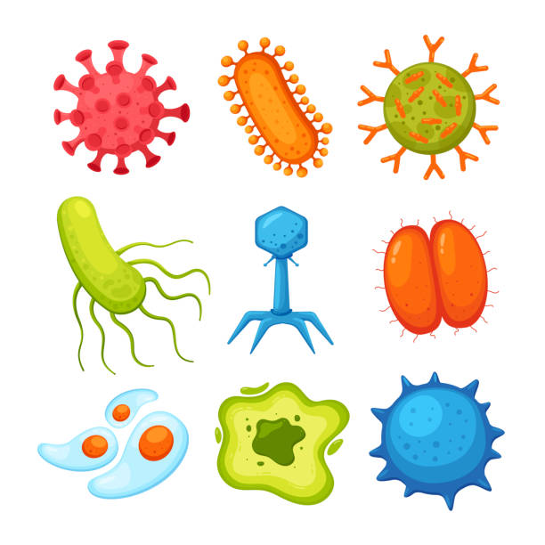 Different viruses and bacteria vector illustrations set vector art illustration