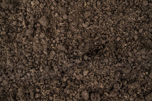 istock Top view texture of rich soil background. 1619828088