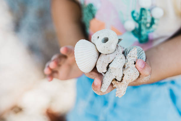 Immerse yourself in the tranquility of the shoreline captured in this image, as a beach enthusiast gently collects seashells that nature has generously bestowed. The rhythmic lull of the waves and the golden sun painting the scene provide the perfect backdrop for this serene moment of discovery. The act of gathering these delicate seashells becomes a reflection of the simple joys found in nature's beauty, inviting you to embrace the wonder of the coast and its timeless treasures.