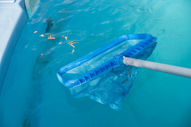 istock Someone using a pool skimmer for removing fallen leaves and debris floating on the surface of the pool. 1619840785