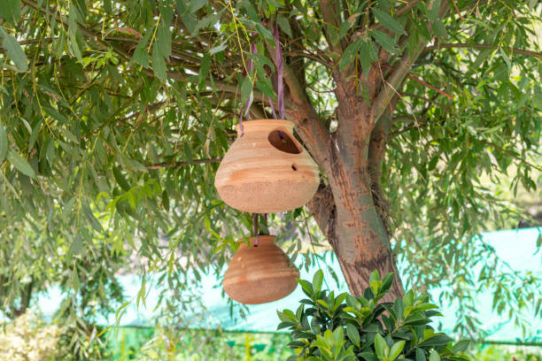Clay pot hanging in tree for birdhouse and nest