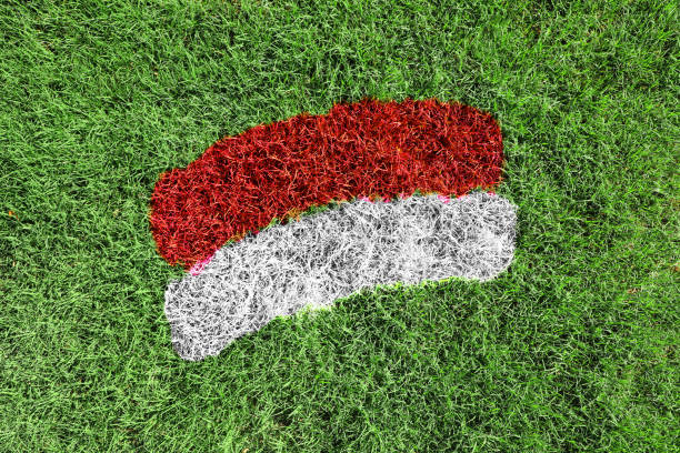 istock Indonesia flag colors painted on grass field 1619955230