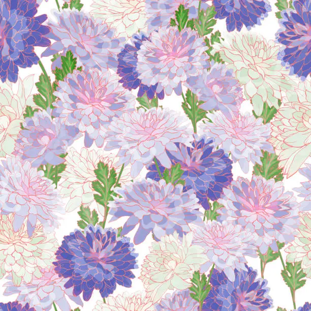 Vector illustration of Floral seamless pattern with violet chrysanthemums
