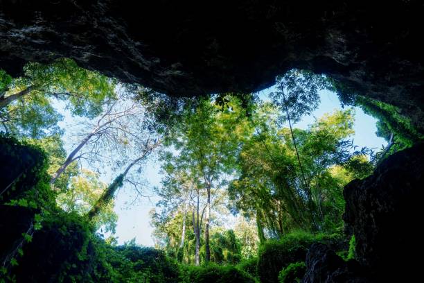 Scenic View from Bottom of Natural Cave inside Tropical Jungle stock photo