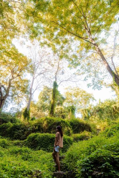 istock Beautiful Asian Tourist in Tropical Forest Exploring Enjoying Nature 1620056856