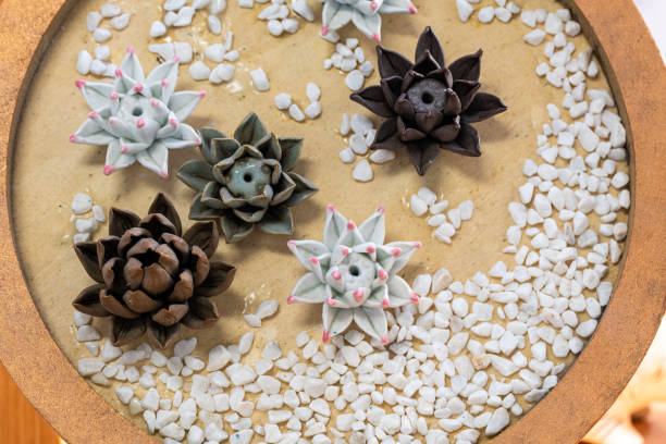 bonsai decorativo di loto in ceramica - flower single flower zen like lotus foto e immagini stock