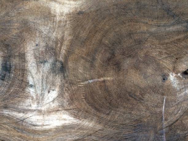 istock wood texture background. Floor surface. White wood texture background. 1620078437