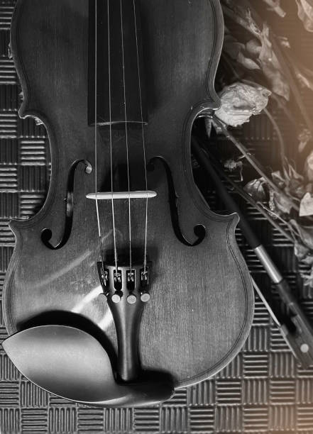 istock Violin front side put beside dried roses on black grunge surface background,vblack and white tone, 1620078601