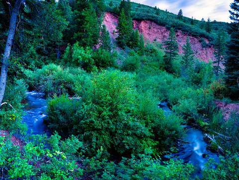 Tranquility Alongside Mountain Creek - Long exposure scenic nature landscape with flowing meandering creek through lush green valley.