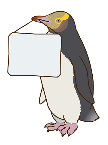 Yellow-eyed penguin holding message board