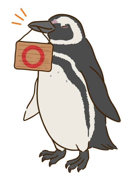 Magellanic penguin holding sign with circle mark Magellanic penguin holding sign with circle mark magellanic penguin stock illustrations