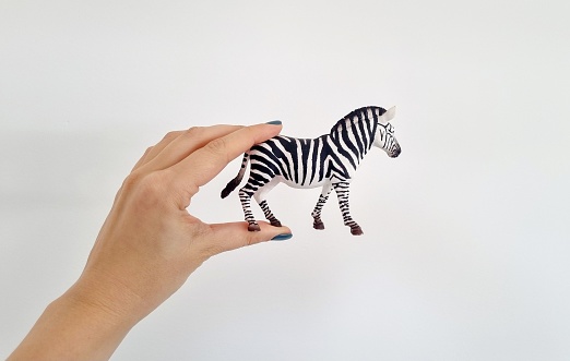 A woman holding a plastic zebra toy against a plain white wall