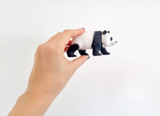 istock Woman holding a plastic panda toy against a plain white wall 1620103532