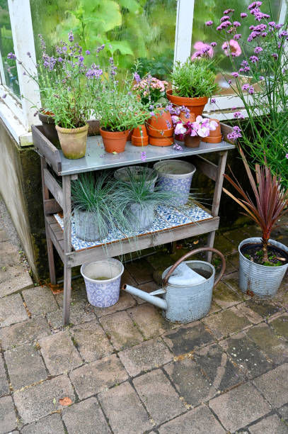 istock Planting table with flowers and flower pots 1620143585