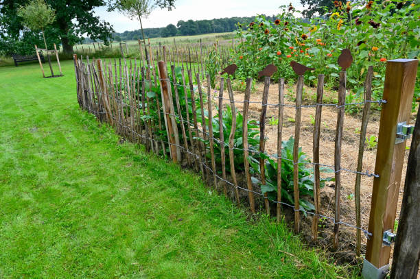 istock Fence around small flower garden in bigger garden 1620143597