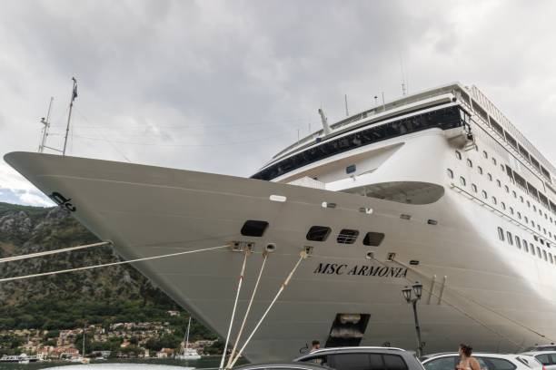 msc armonia im hafen von kotor vor anker - editorial sea white ship stock-fotos und bilder