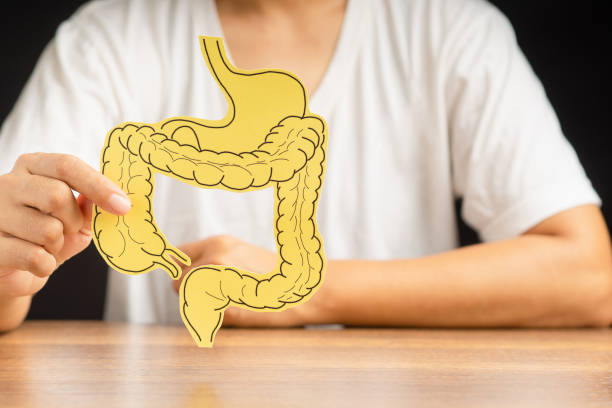 istock Hand holding a large intestine shape made from paper while sitting over a black background 1620228835