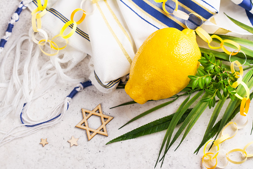 Jewish holiday Sukkot. Traditional symbols, citron, myrtle, branch of willow and palm branch. Festive Sukkot background