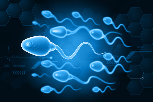 Human sperm on blue scientific background. 3d illustration