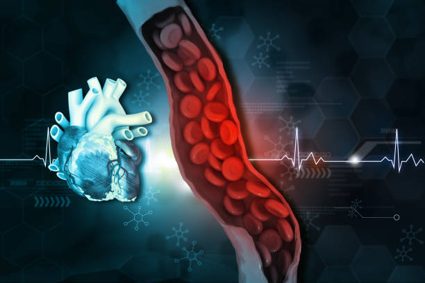 istock Human heart with vein with blood cells  stream 1620250049