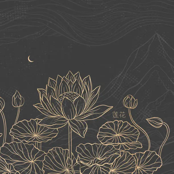 Vector illustration of Lotus and leaf sketch with fine graceful lines. Isolated flower on a dark background. Vintage etching botanical lotus. The inscription of the hieroglyph means Lotus.
