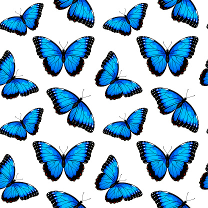 Seamless pattern with blue morpho butterflies, vector illustration.